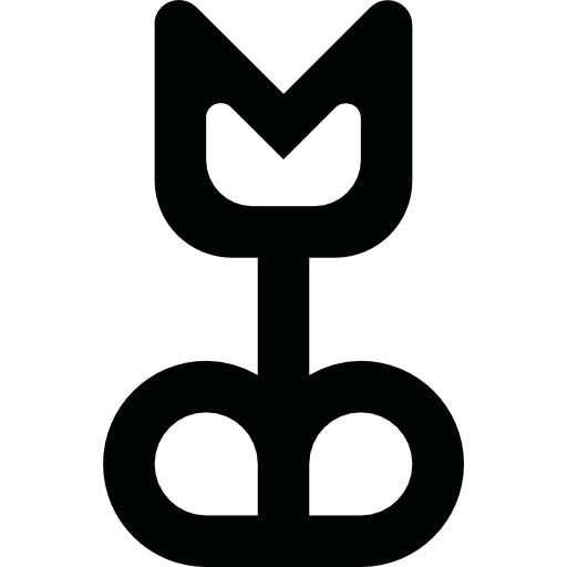 Macro Icon Free Of Lineal Camera Icons