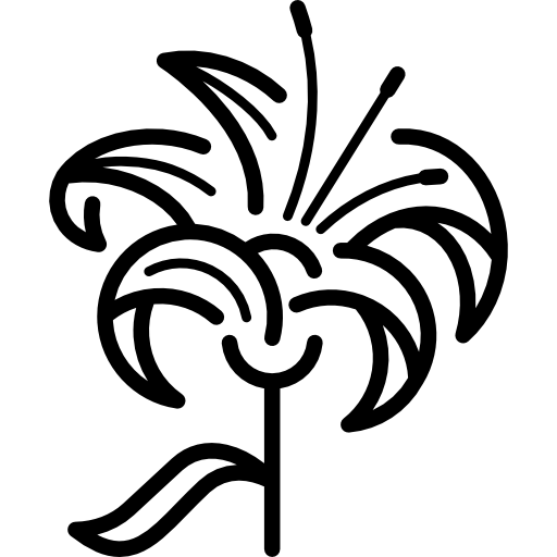 Lily Icons Free Download