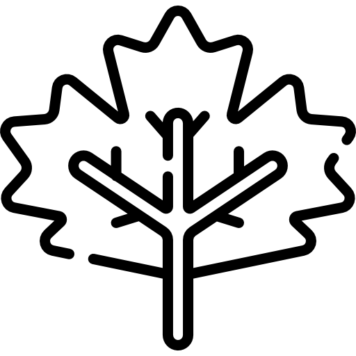 Maple Icon