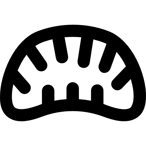 Bran Science Elements Vectors Market