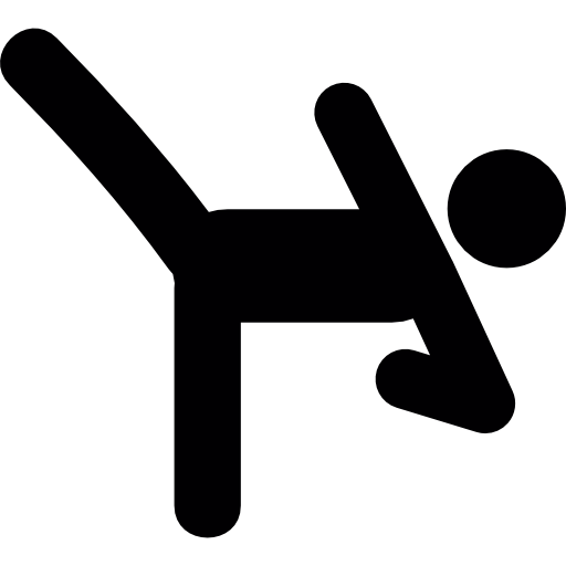 Person Exercise Martial Arts Icons Free Download