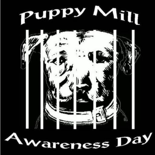 Google News Feed Puppy Mill Awareness Day