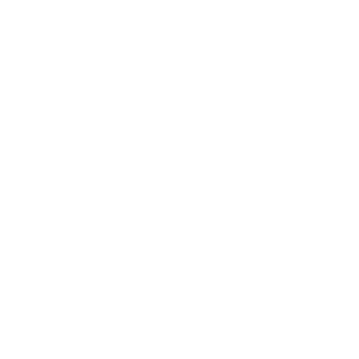 White Medal Icon