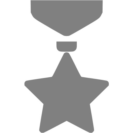 Gray Medal Icon