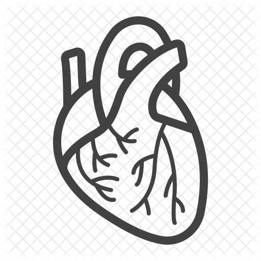 Medical Heart Icon
