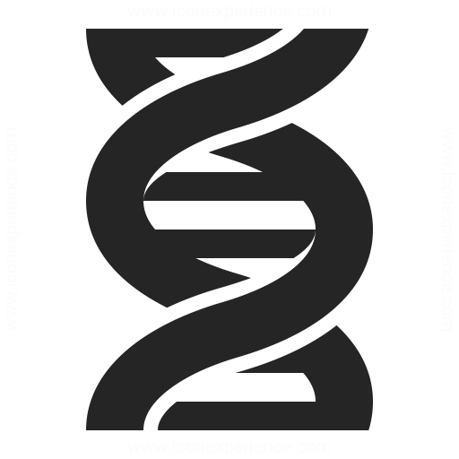 Dna Icon Iconexperience