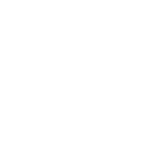 White Megaphone Icon