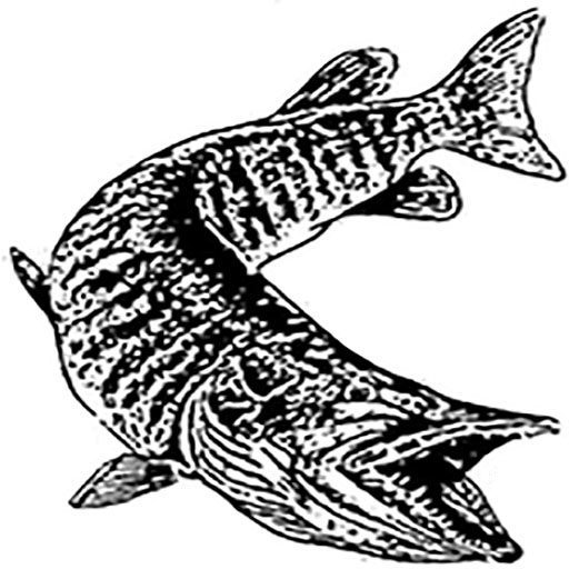 Big Musky Contest Apostles Musky Club