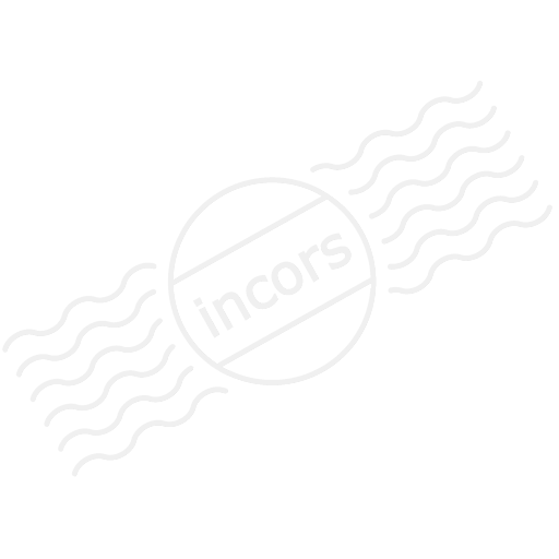 Iconexperience M Collection Memory Icon