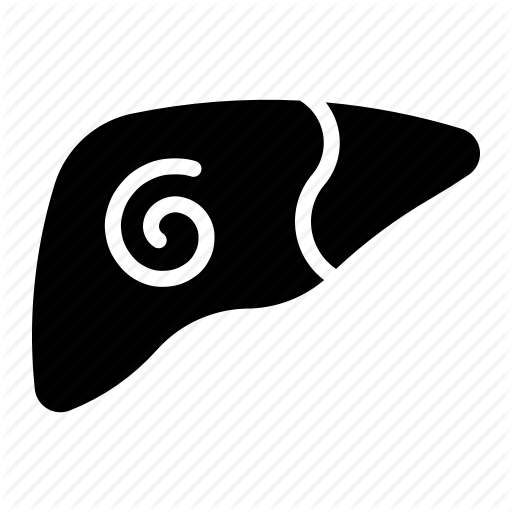 Digestion, Internal, Liver, Metabolism, Organ Icon