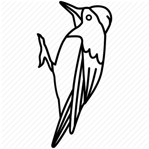 Bird, Flameback, Pecker, Sapsucker, Wood, Woodpecker Icon
