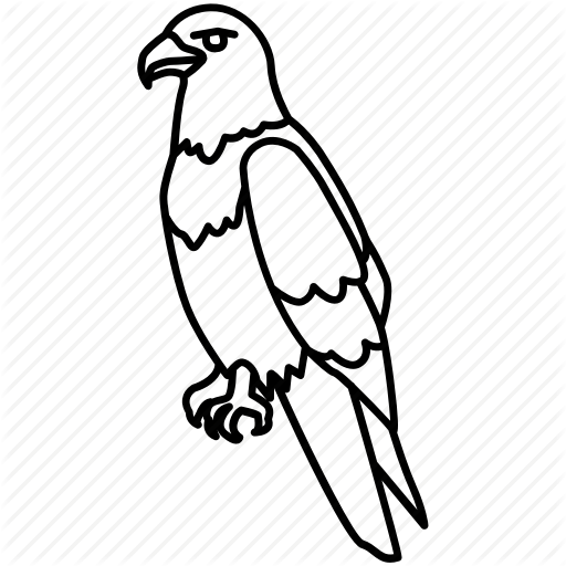 America, Bald Eagle, Falcon, Hawk, Raptor, Usa Icon