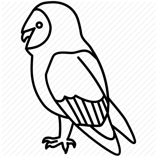 Athena, Bird, Night, Nocturnal, Owl, Predator, Tawny Icon