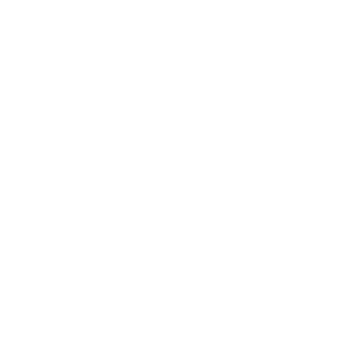 White Micro Sd Icon