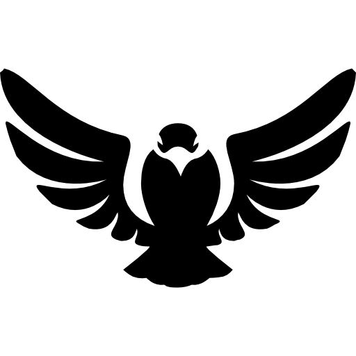 Millenium Falcon Icon