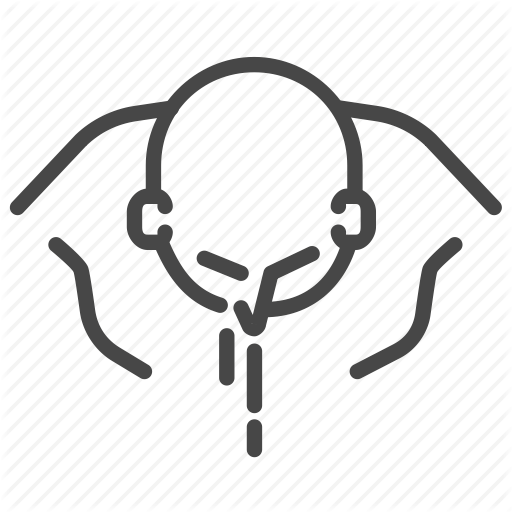 Bleeding, Fight, Fighter, Injured, Martial Arts, Mma Icon