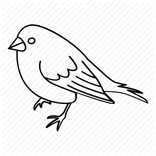 Bird, Canary, Finch, Pet, Small, Sparrow Icon