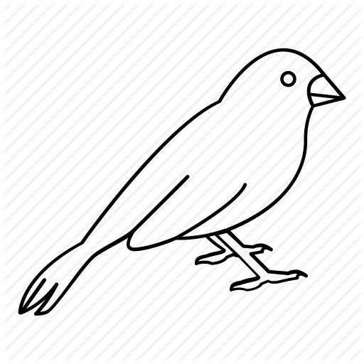 Bird, Canary, Finch, Pet, Sparrow Icon