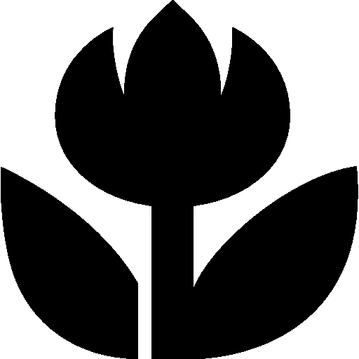 Photo Video Close Up Mode Icon Windows Iconset