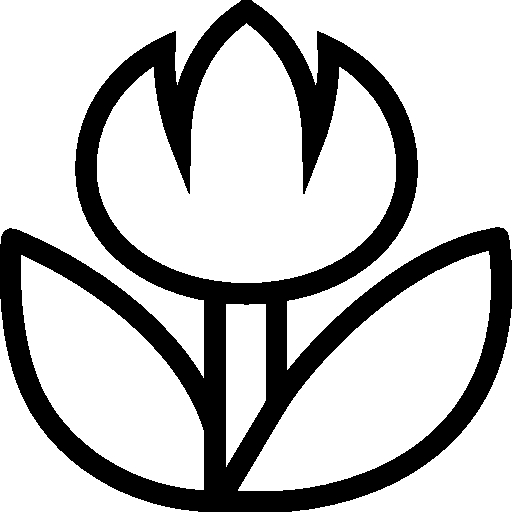 Photo Video Close Up Mode Icon Ios Iconset