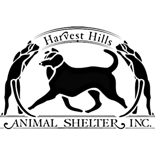 Cats Harvest Hills Animal Shelter