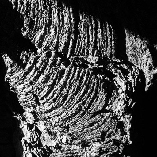 Rachael Mead Poetry Photography