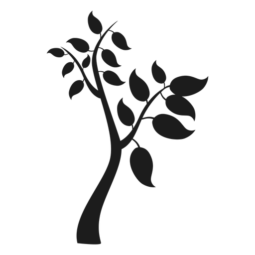 Tree With Branches And Big Leaves Icon