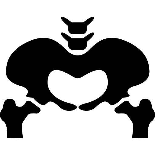 Pelvic Bone Silhouette Icons Free Download