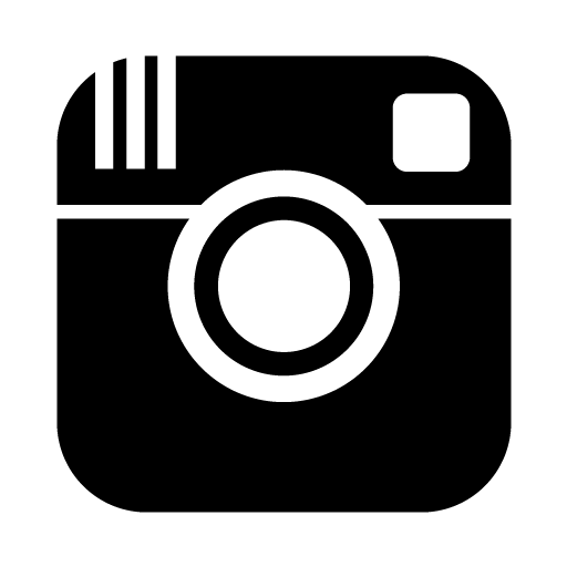 Iconmonstr Instagram Icon