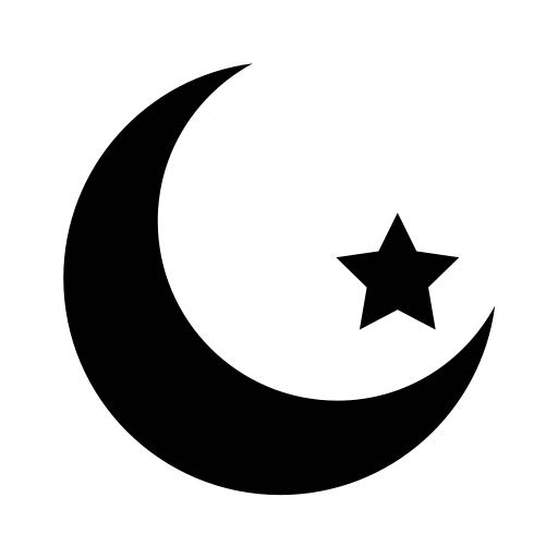 Moon Icon