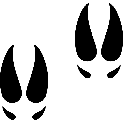 Moose Footprints Icons Free Download