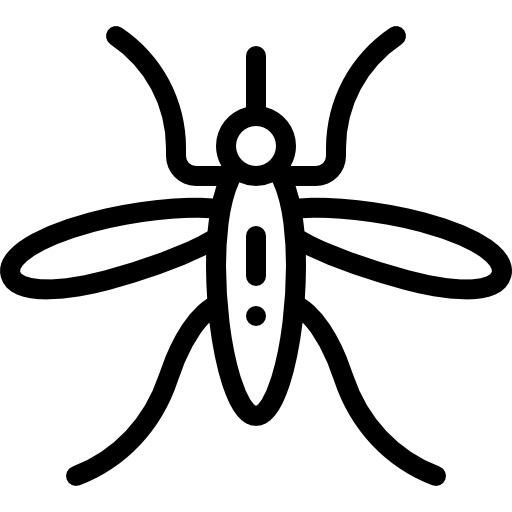 Mosquito