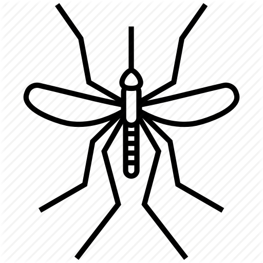 Bug, Insect, Mosquito Icon