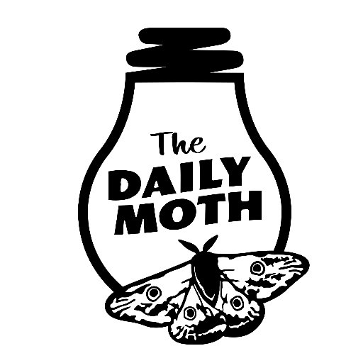 The Daily Moth