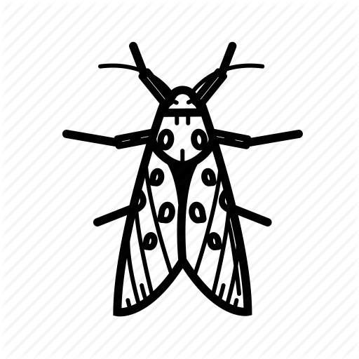 Attenborough, Bug, Butterfly, Fly, Moth, Night Icon