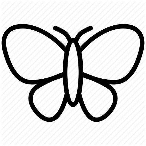 Butterfly David W Oaks