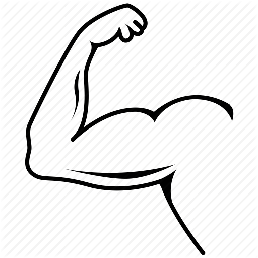 Internal Organs, Muscle, Skeleton, Skull Icon