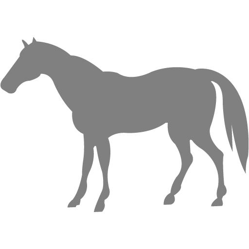 Gray Horse Icon