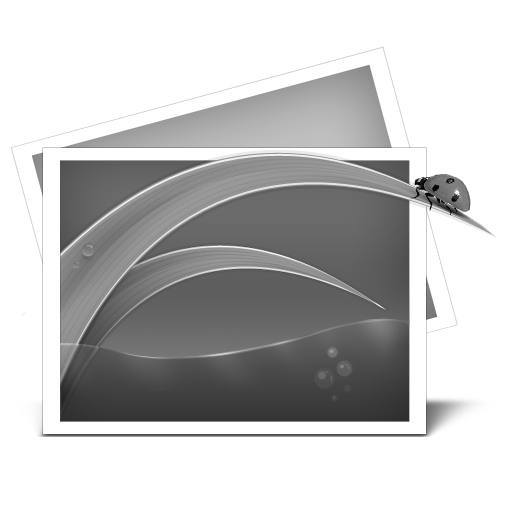 My Pictures Grey Icon