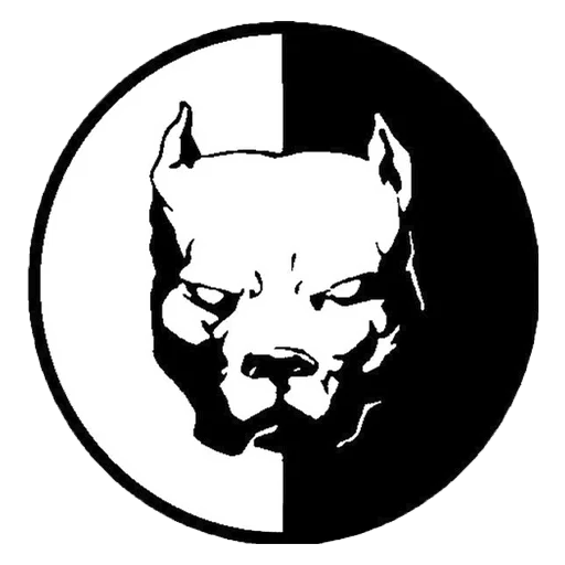 Download Free Png Car Decal Bmw Bull Pit Audi