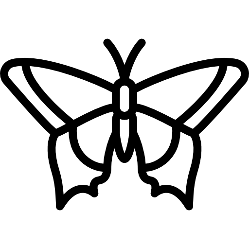 Pretty, Course, You, Those, Get, Heavy, Nautilus, Mail, Know, Bag Icon