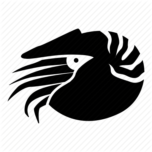 Cephalopod, Creature, Mollusc, Nautilus, Prehistoric, Sea