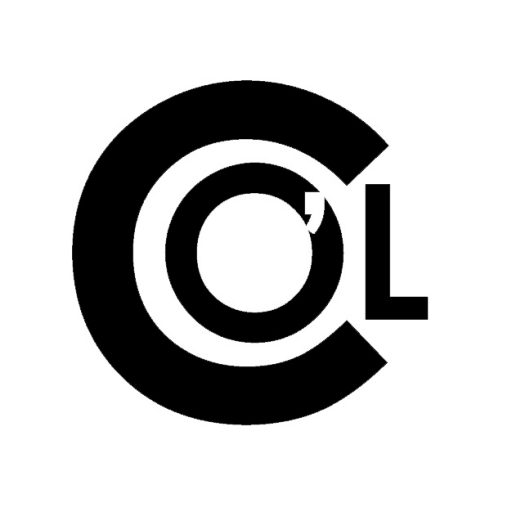 Caitlyn O'leary Writing Your Book Boyfriends, One Book