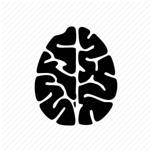 Brain, Mind, Nervous System, Pallium, Slice, Thinking, Top Icon