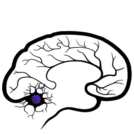 Florida Society Of Neurology Fsneuro