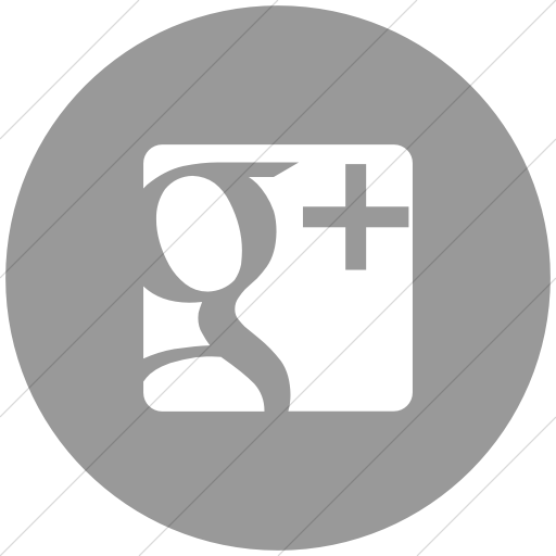 Flat Circle White On Light Gray Raphael Google Plus Icon