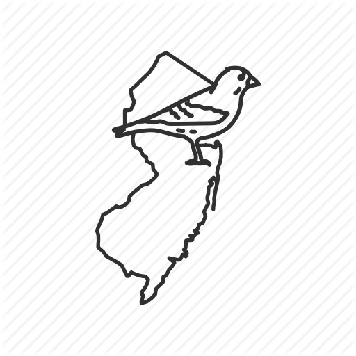 Borders, Map, New Jersey, State, State Bird, State Symbol, Usa Icon