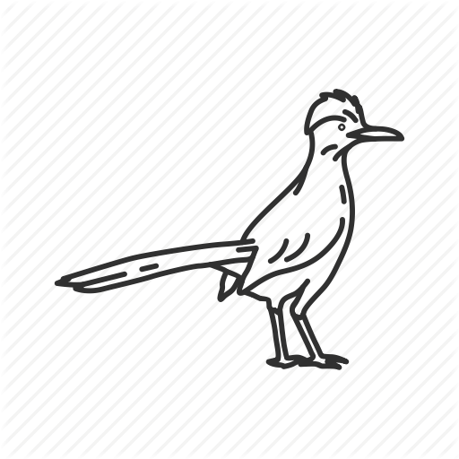 Birds, New Mex Roadrunner, State, State Birds, State Symbol