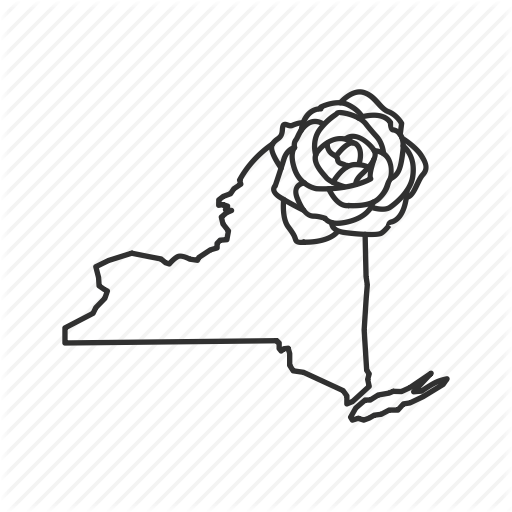 Borders, Map, New York, State, State Flower, State Symbol, Usa Icon