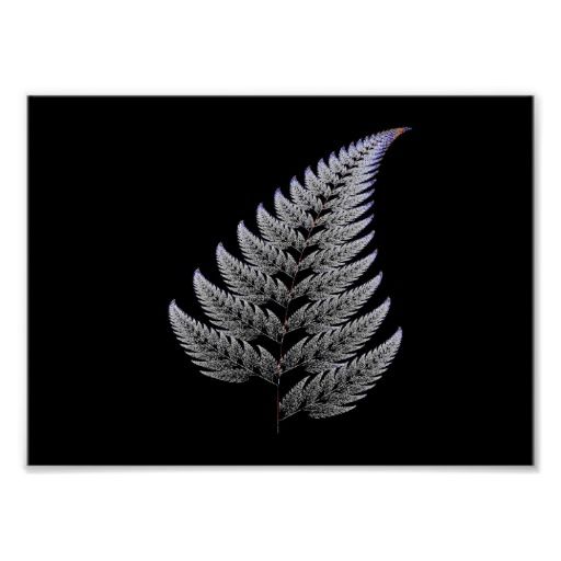 Silver Fern That New Zealand's Icon Is Based On Almost Has A Bit